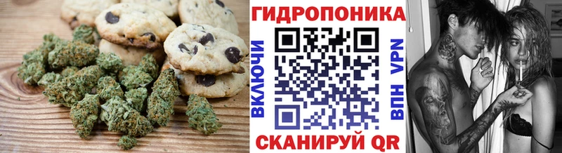 хочу наркоту Яхрома Еда ТГК конопля