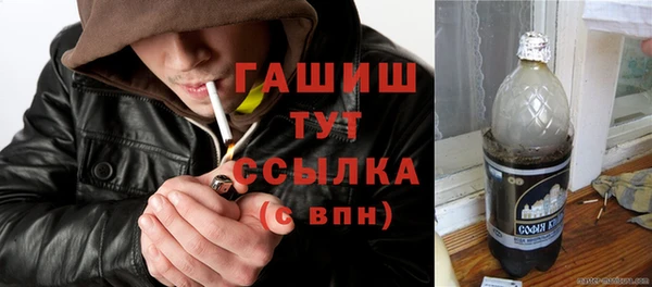 прущие грибы Ельня