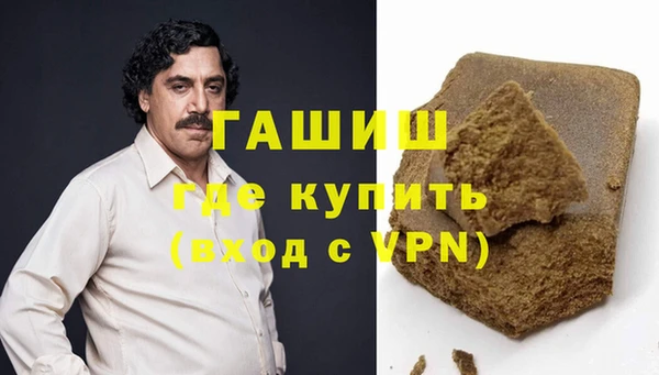 прущие грибы Ельня