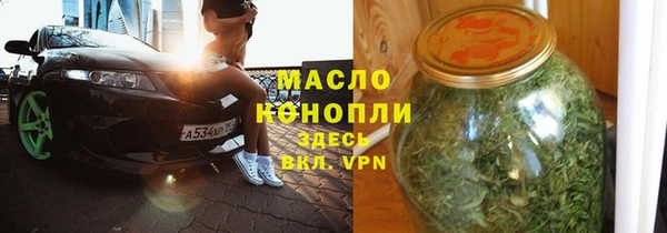 прущие грибы Ельня