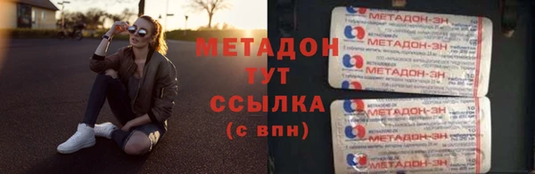 прущие грибы Ельня
