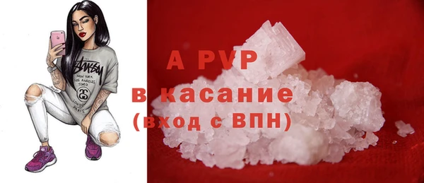 прущие грибы Ельня