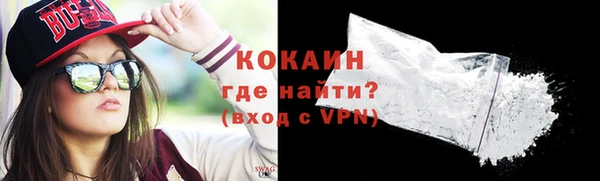 прущие грибы Ельня