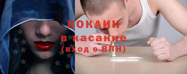 прущие грибы Ельня