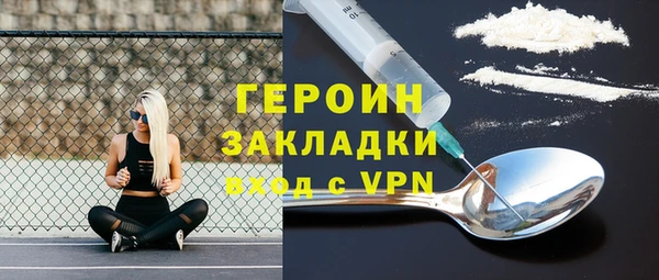 прущие грибы Ельня