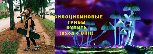 прущие грибы Ельня