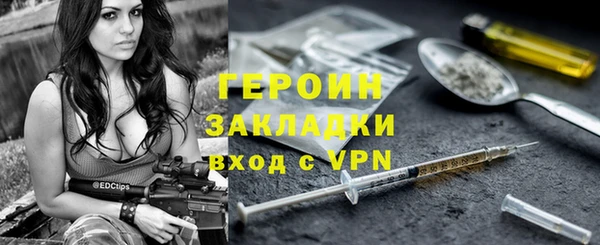 прущие грибы Ельня