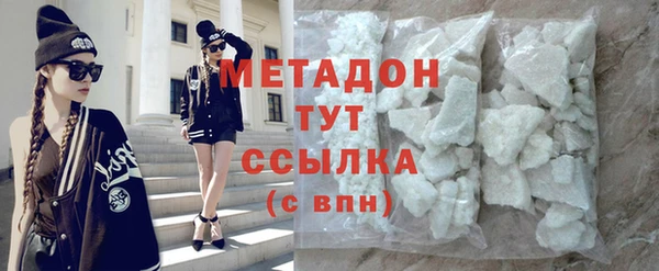 прущие грибы Ельня