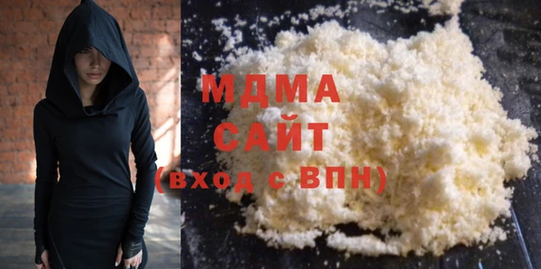 прущие грибы Ельня