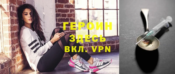 прущие грибы Ельня