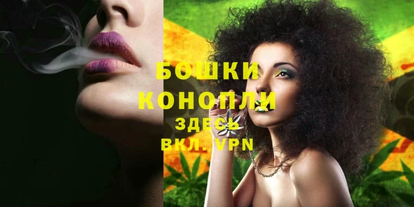 прущие грибы Ельня