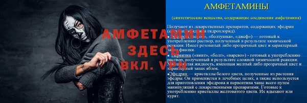 прущие грибы Ельня